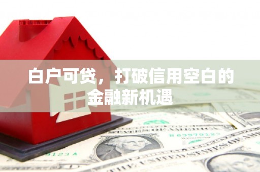 鱼池白户可贷，打破信用空白的金融新机遇