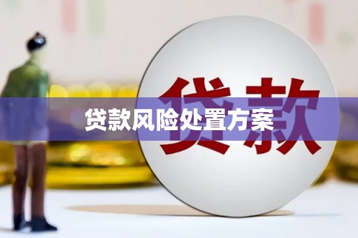 鱼池贷款风险处置方案