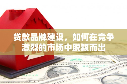 鱼池贷款品牌建设，如何在竞争激烈的市场中脱颖而出