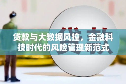 鱼池贷款与大数据风控，金融科技时代的风险管理新范式