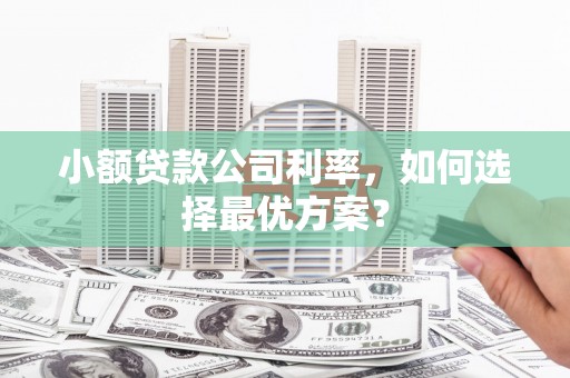鱼池小额贷款公司利率，如何选择最优方案？