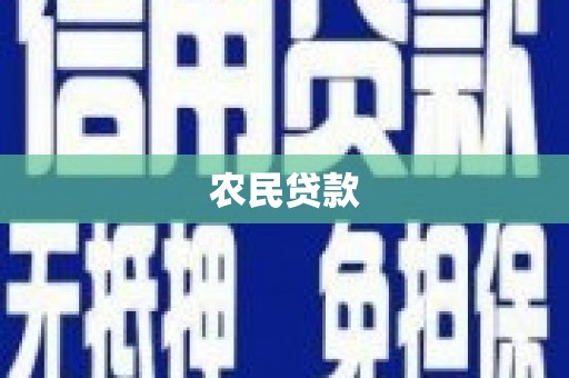 鱼池农民贷款