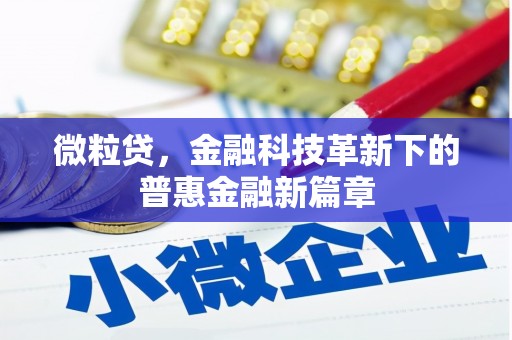 鱼池微粒贷，金融科技革新下的普惠金融新篇章