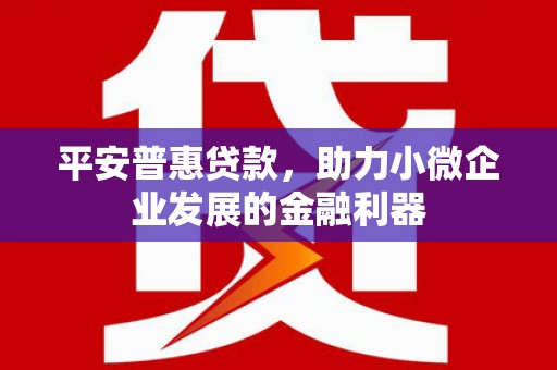 鱼池平安普惠贷款，助力小微企业发展的金融利器