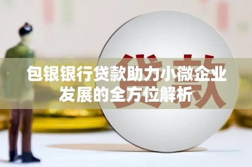 鱼池包银银行贷款助力小微企业发展的全方位解析