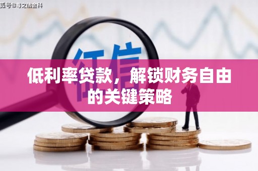 鱼池低利率贷款，解锁财务自由的关键策略
