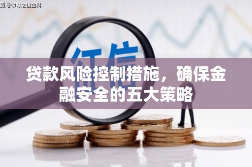 鱼池贷款风险控制措施，确保金融安全的五大策略