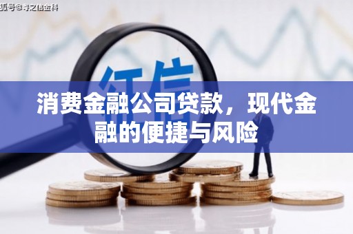 鱼池消费金融公司贷款，现代金融的便捷与风险