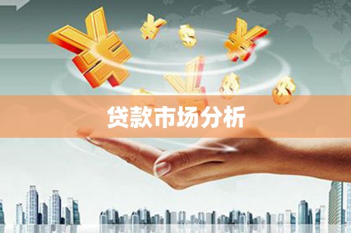 鱼池贷款市场分析