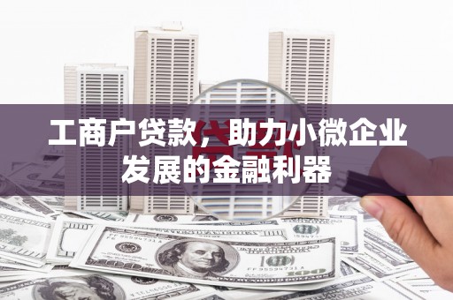 鱼池工商户贷款，助力小微企业发展的金融利器