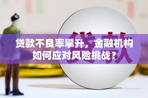 鱼池贷款不良率攀升，金融机构如何应对风险挑战？