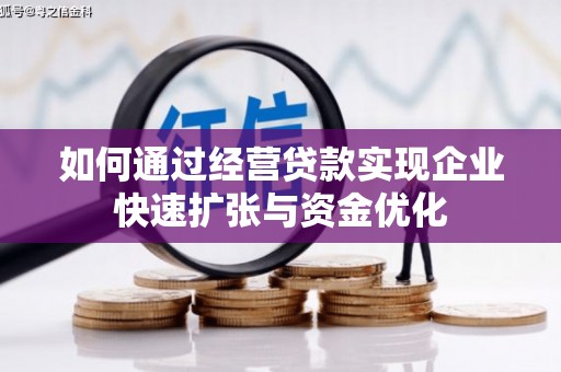 鱼池如何通过经营贷款实现企业快速扩张与资金优化