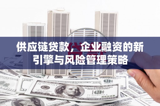鱼池供应链贷款，企业融资的新引擎与风险管理策略