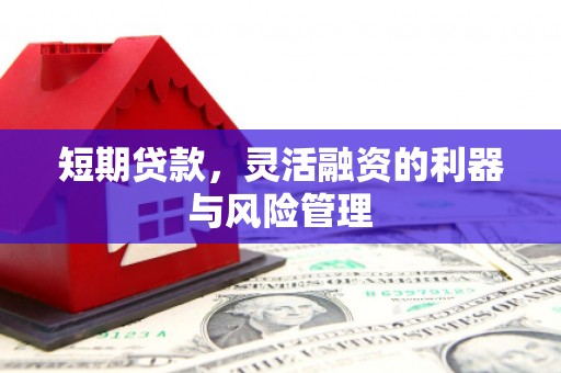 鱼池短期贷款，灵活融资的利器与风险管理
