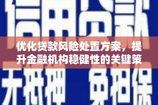 鱼池优化贷款风险处置方案，提升金融机构稳健性的关键策略