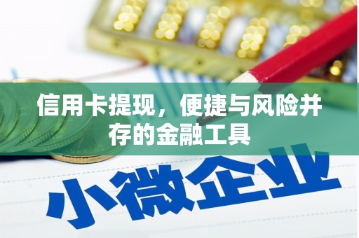 鱼池信用卡提现，便捷与风险并存的金融工具