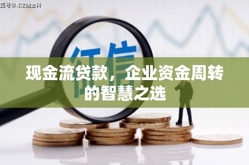 鱼池现金流贷款，企业资金周转的智慧之选