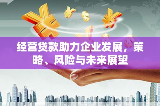 鱼池经营贷款助力企业发展，策略、风险与未来展望