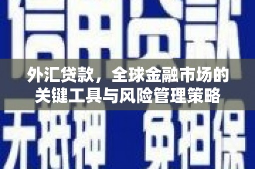 鱼池外汇贷款，全球金融市场的关键工具与风险管理策略