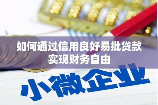 鱼池如何通过信用良好易批贷款实现财务自由