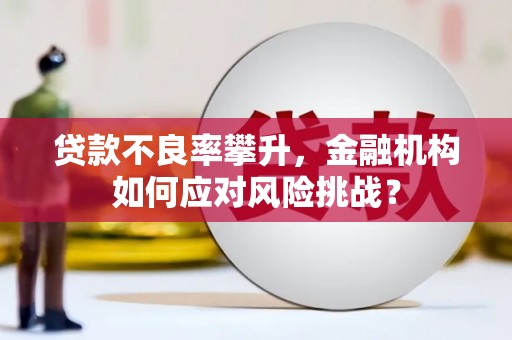 鱼池贷款不良率攀升，金融机构如何应对风险挑战？