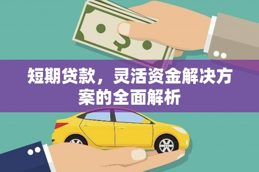鱼池短期贷款，灵活资金解决方案的全面解析