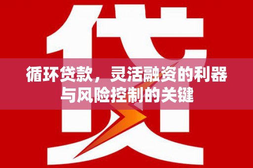 鱼池循环贷款，灵活融资的利器与风险控制的关键