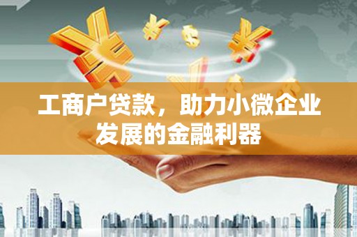 鱼池工商户贷款，助力小微企业发展的金融利器