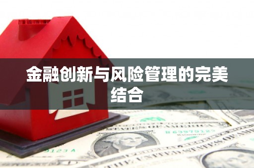 鱼池金融创新与风险管理的完美结合