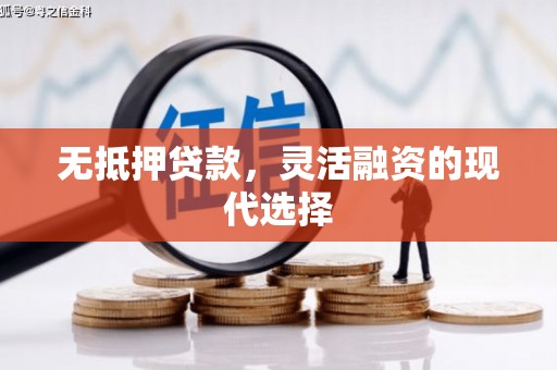 鱼池无抵押贷款，灵活融资的现代选择