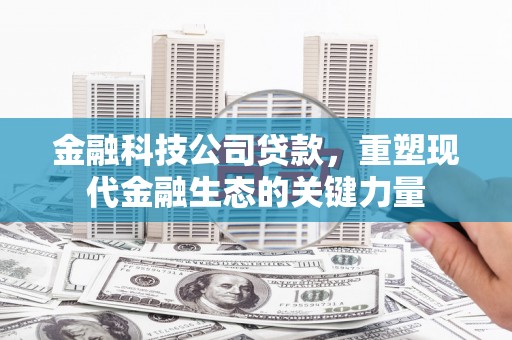 鱼池金融科技公司贷款，重塑现代金融生态的关键力量