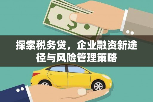鱼池探索税务贷，企业融资新途径与风险管理策略