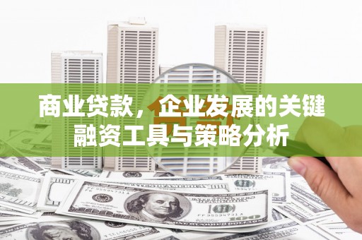 鱼池商业贷款，企业发展的关键融资工具与策略分析