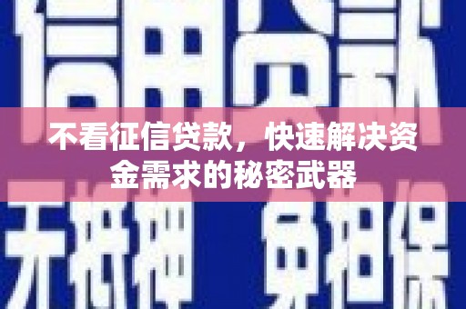 鱼池不看征信贷款，快速解决资金需求的秘密武器