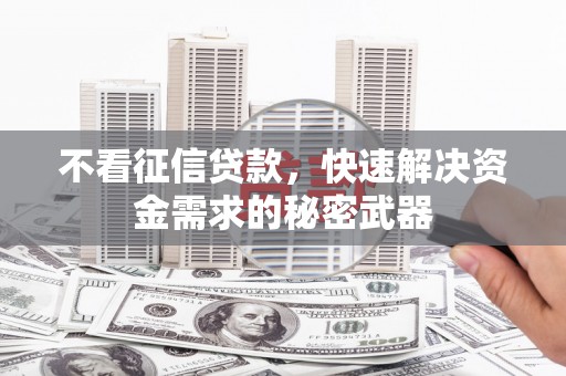 鱼池不看征信贷款，快速解决资金需求的秘密武器