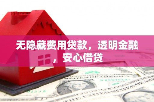 鱼池无隐藏费用贷款，透明金融，安心借贷