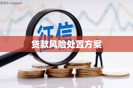 鱼池贷款风险处置方案