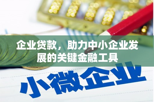 鱼池企业贷款，助力中小企业发展的关键金融工具
