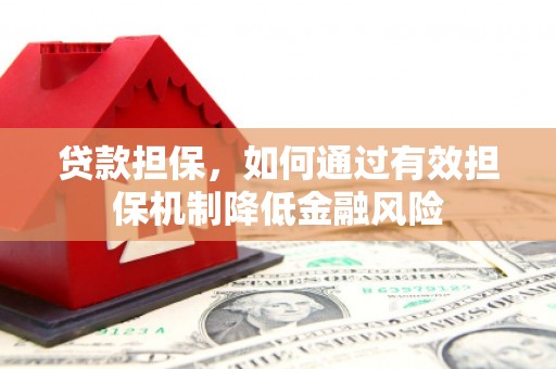 鱼池贷款担保，如何通过有效担保机制降低金融风险