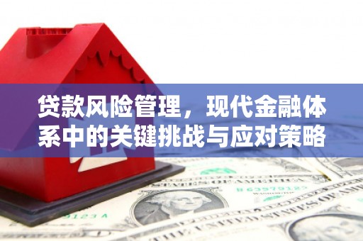 鱼池贷款风险管理，现代金融体系中的关键挑战与应对策略