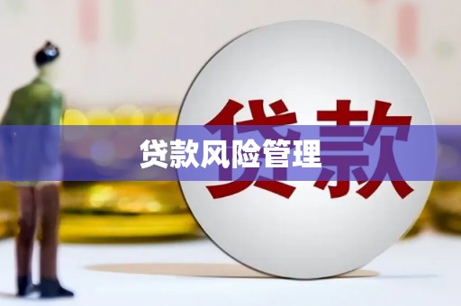 鱼池贷款风险管理
