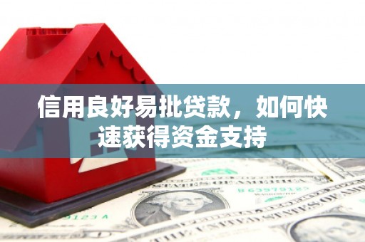 鱼池信用良好易批贷款，如何快速获得资金支持