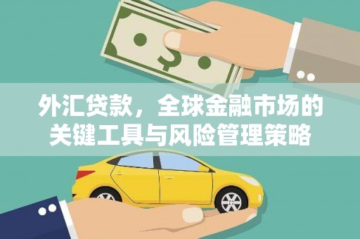 鱼池外汇贷款，全球金融市场的关键工具与风险管理策略