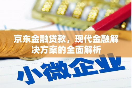 鱼池京东金融贷款，现代金融解决方案的全面解析