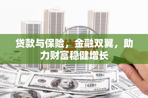 鱼池贷款与保险，金融双翼，助力财富稳健增长