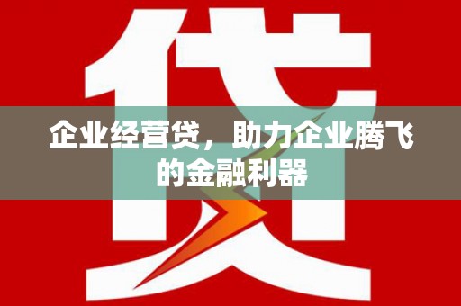 鱼池企业经营贷，助力企业腾飞的金融利器