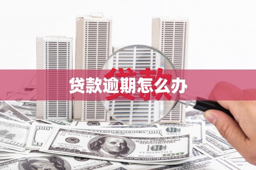 鱼池贷款逾期怎么办