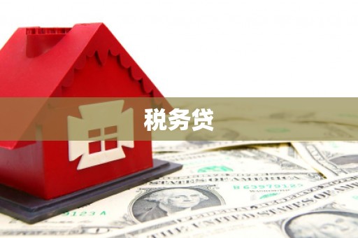 鱼池税务贷