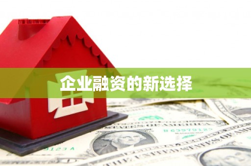 鱼池企业融资的新选择