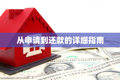 鱼池从申请到还款的详细指南